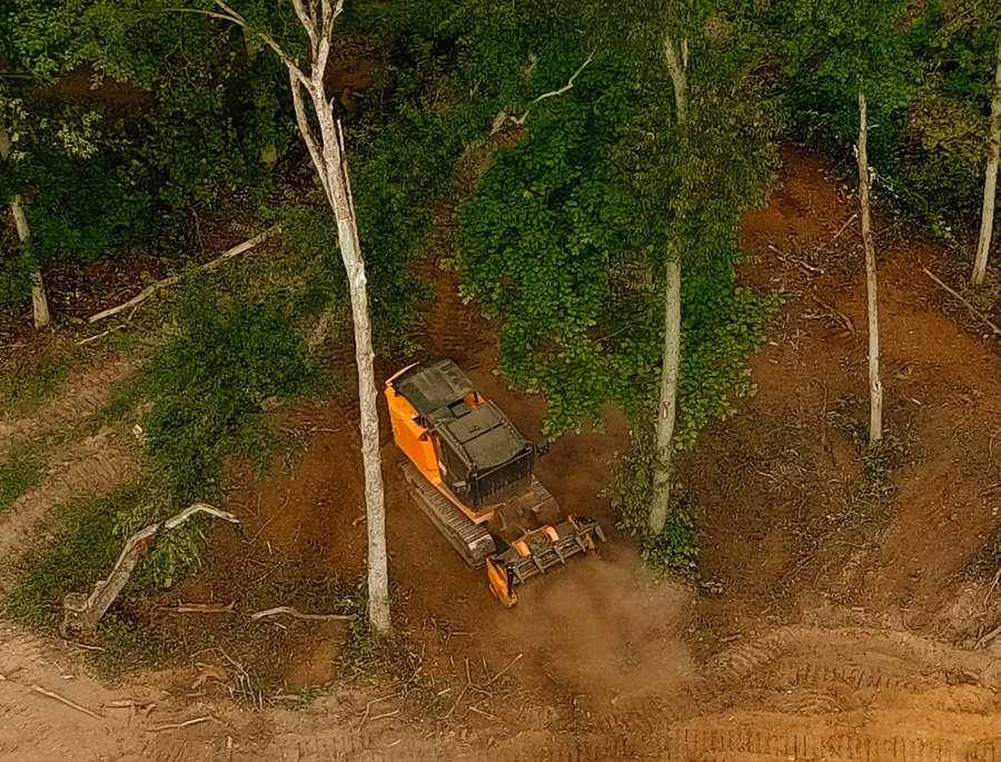 Drone view of a forestry mulcher clearing underbrush between trees on a slope