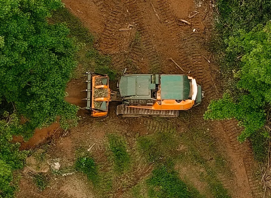 Top-down drone view of a tracked forestry mulcher cutting into green brush